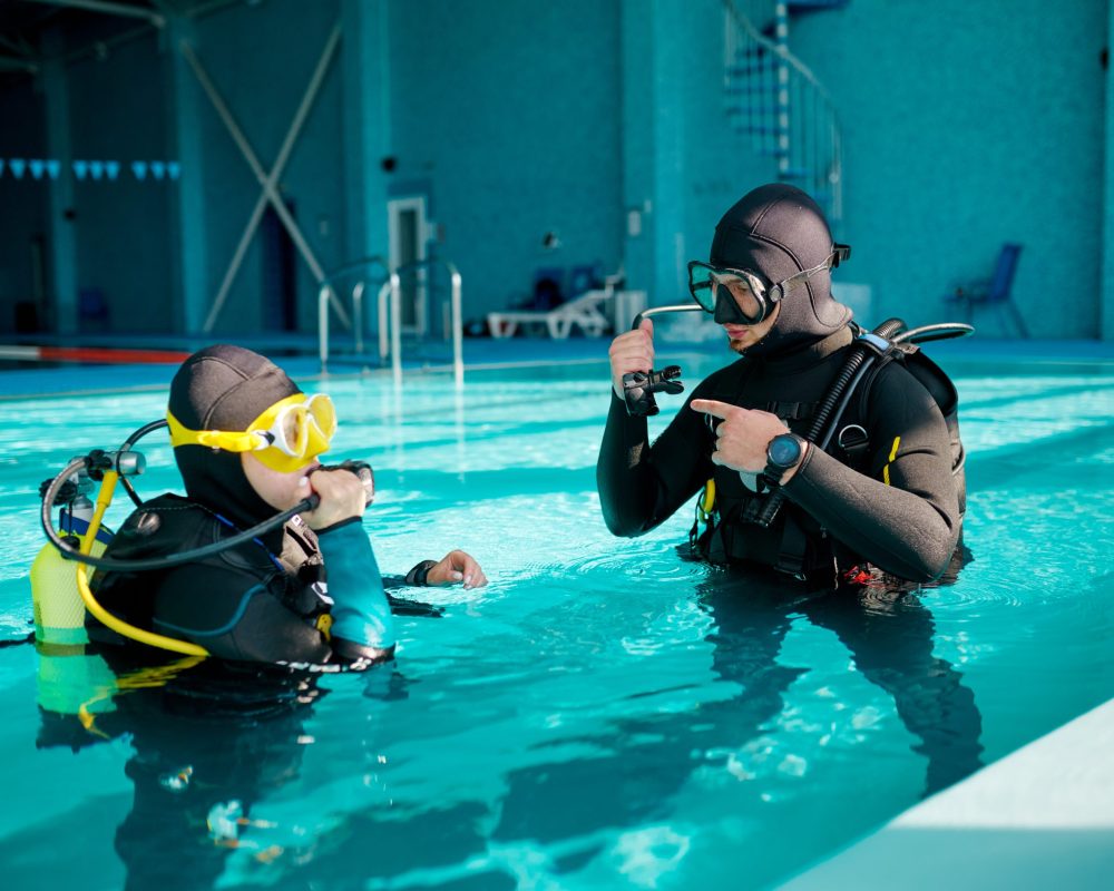 Diver
